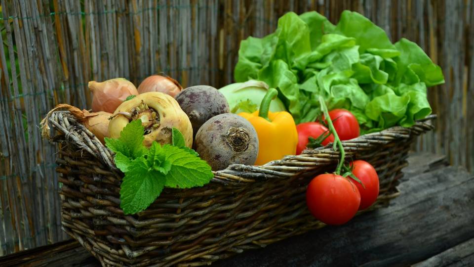 продукты