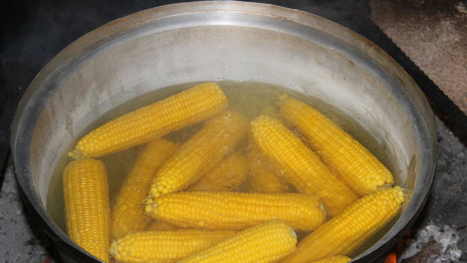 вареная кукуруза