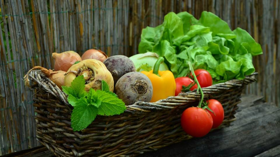 продукты
