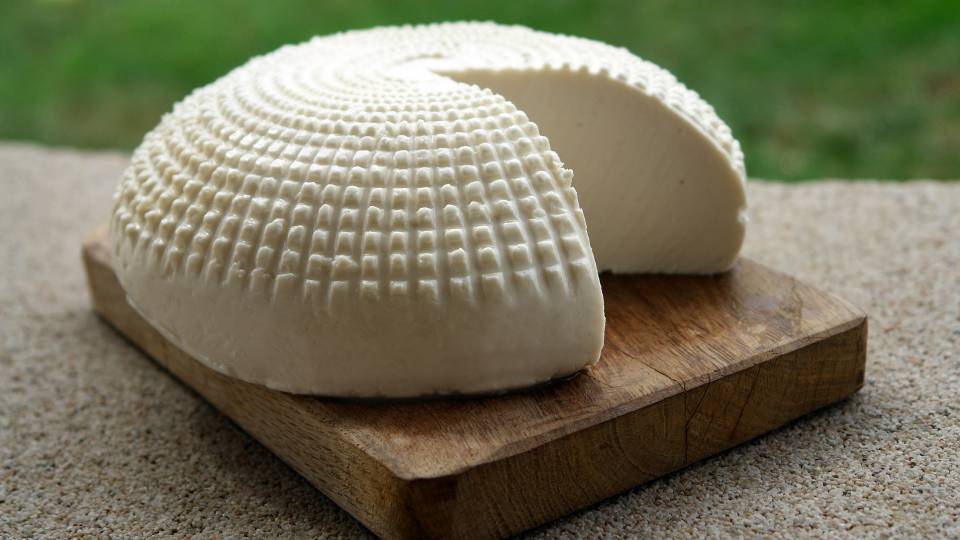 козий сыр